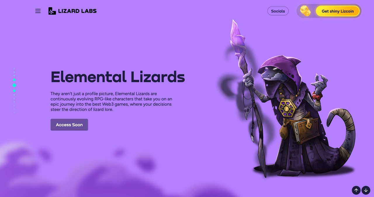 Lizard Labs